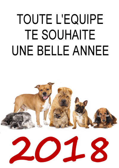  Carte  Belle Ann e De L quipe Des Chiens  Envoyer une 